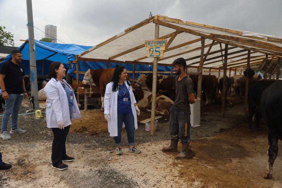 Kartal’da, Kurbanlık Hayvanlar Sağlık Kontrolünden Geçiyor