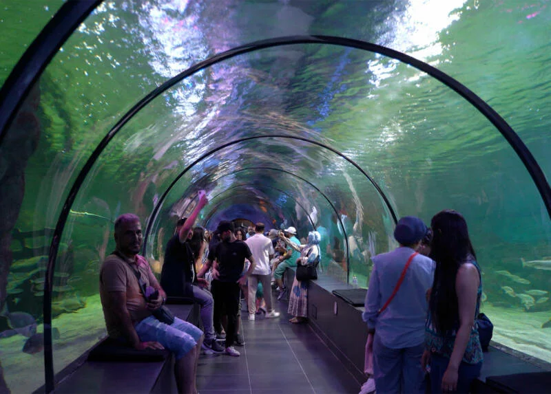 Tuzla Belediyesi’nden anneler ve çocuklarına eğlenceli akvaryum turu