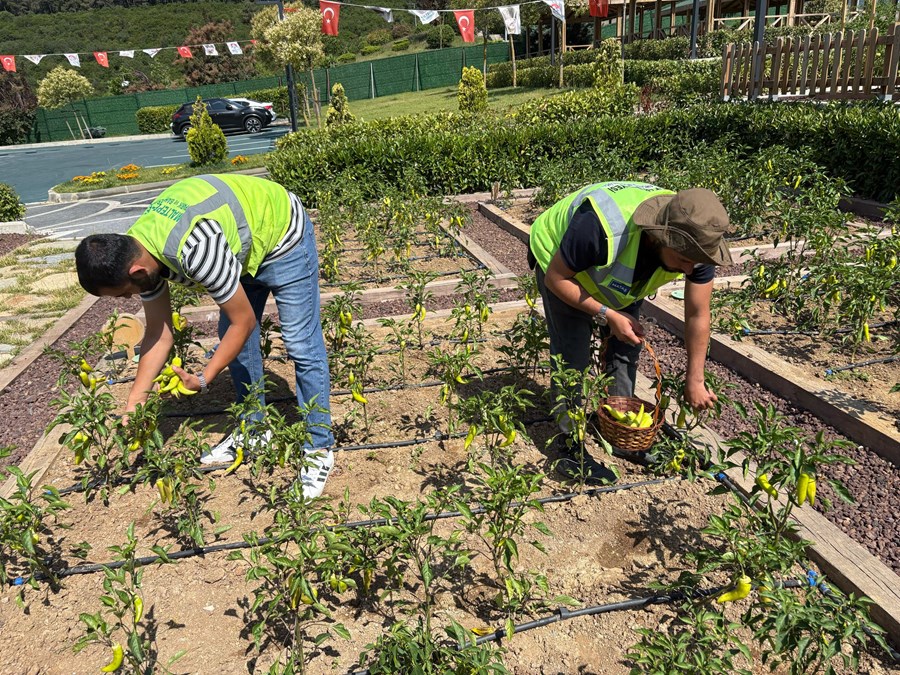 “Çocuk Tarım Parkı’ndan hanelere…