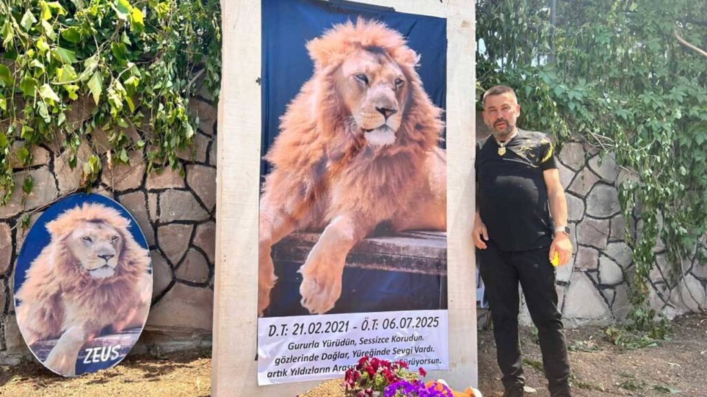 Zeus’un öldürülmesine ilişkin suç duyurusu